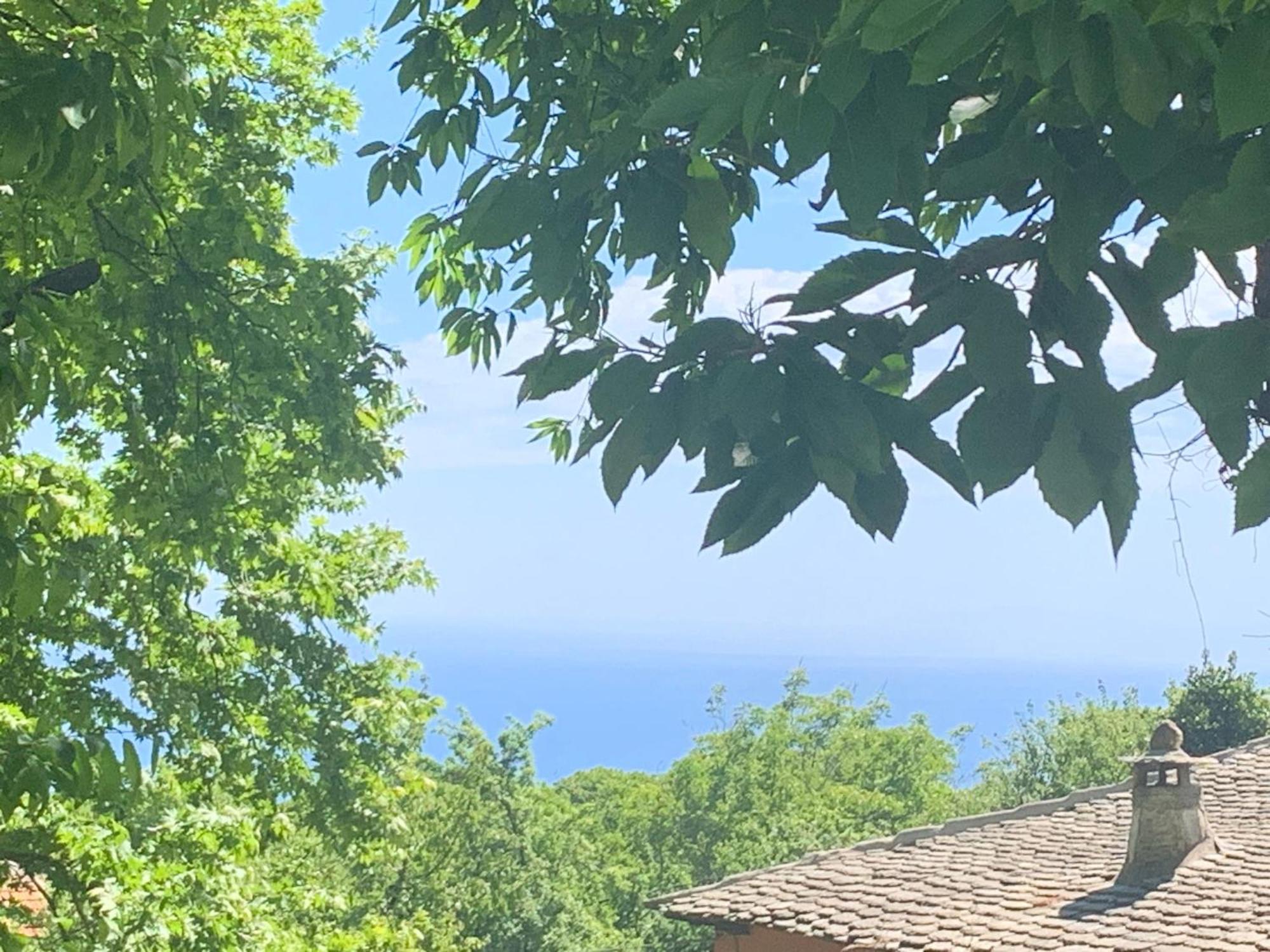 Вилла Pelion 7 Lives Цагарада Экстерьер фото